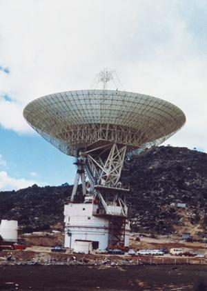 サイプレスを使ったウッドデッキにしたいなら